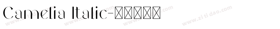Camelia Italic字体转换